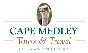 Cape Medley Tours